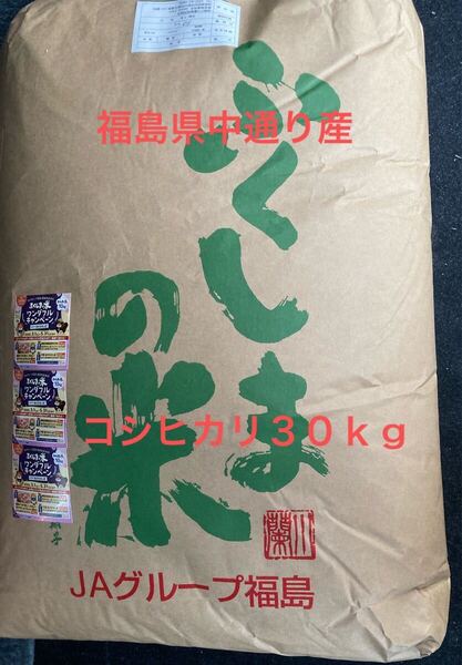 福島県中通り産 こしひかり 玄米30kg 令和6年産