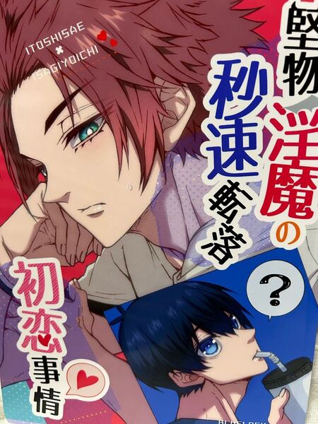 ブルーロック 同人誌『堅物淫魔の秒速転落初恋事情』糸師冴×潔世一 冴潔