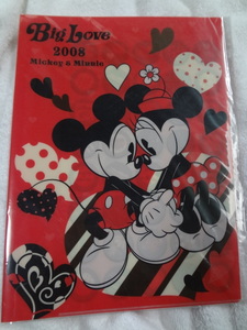 DSクリアファイル ビッグラブ2008
