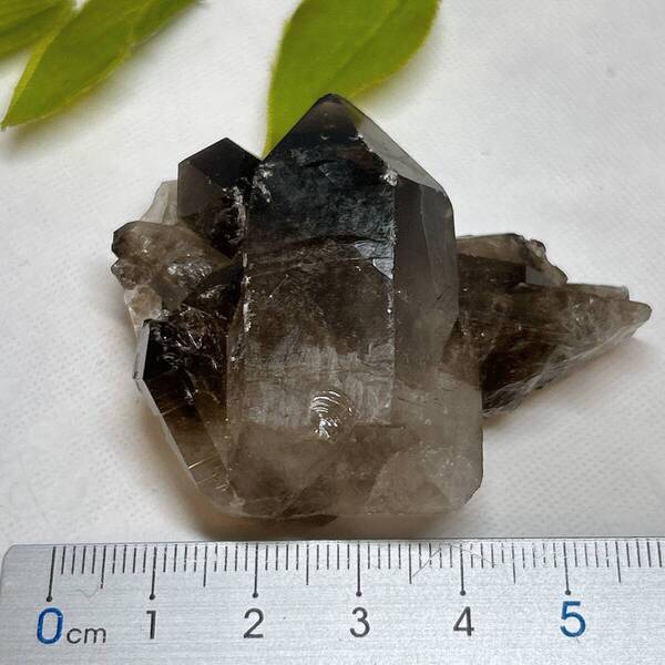 【E13509】スモーキークォーツ 煙水晶 ブラジル クラスター 天然石 鉱物 原石 パワーストーン 結晶 標本
