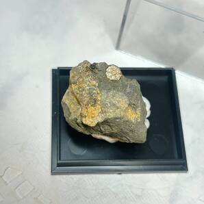 【E13801】桜石 さくらいし シルバー 菫青石仮晶 京都 Cherry blossom stone