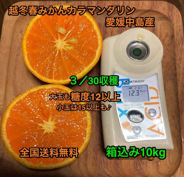 箱込み10kg 越冬春みかん カラマンダリン 2S〜2Lサイズ混合 傷が多い家庭用 全国送料無料 愛媛中島みかん