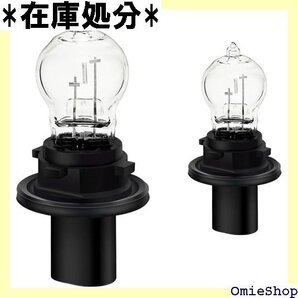 HPC19W 自動車用ヘッドライト デイタイムランニン V 19W ウォームホワイト 4300K 性能 2個入り 3481