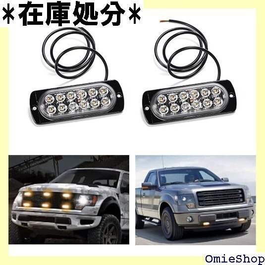 LED テール ブレーキ ランプ 12V 24V 兼用 ク オートバイ トラック トレーラー 2個セット ブルー 3510