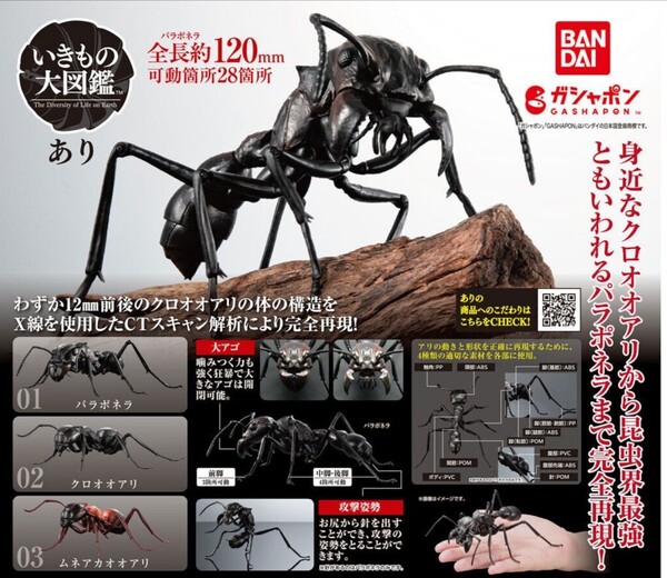 いきもの大図鑑 あり パラポネラ クロオオアリ ムネアカオオアリ 3個セット カプセルトイ ガチャ ガシャポン 蟻 アリ