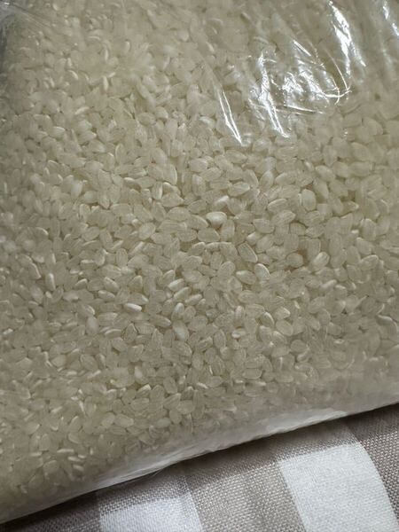 お米 令和5年 古古米 4kg