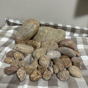 姫川薬石 大・中・小サイズセット販売 糸魚川採取 約6.4kg 天然石 肌石