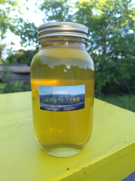 山梨県産 アカシア蜂蜜 1200g(ビン) 3本入り 2024 年5月採り