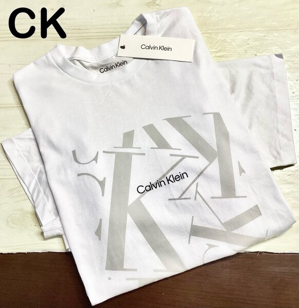 メンズ ビッグロゴ カルバンクライン 半袖 Tシャツ Calvin Klein CK 新品 正規品 ブランド 白T 丸首 クラシックフィット ホワイト 男女兼用