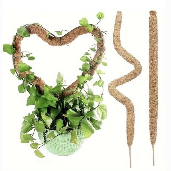 ココスティック 園芸支柱 100CM モンステラ ココナッツ 支柱 観葉植物 つる植物 ガーデニング支柱 農業用 園芸用 植物固定用マジックテープ