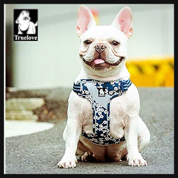 【開封のみ】cocomall ★負担軽減犬用ハーネス 犬用胴輪 ドッグ ペット用品 ハーネスリード 3M反射材料 訓練 ナイロン製 小型犬 S