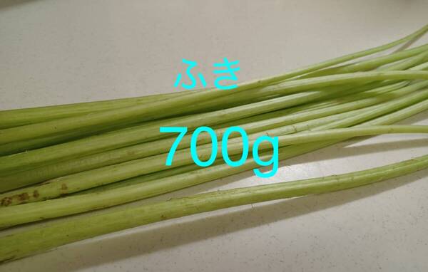 ふき 蕗 天然蕗 農薬不使用 700g