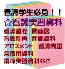 MicroSD版2025年最新版★らくらく看護過程の展開★基礎実習~領域実習体験レポ 看護計画 病態関連図 個別性現場資料 その他