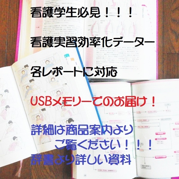 USBメモリ版 2025年★看護過程の展開★基礎実習 多数学生の領域実習 看護計画(書き方見本)病態関連図 事前学習 ケーススタディ 行動計画