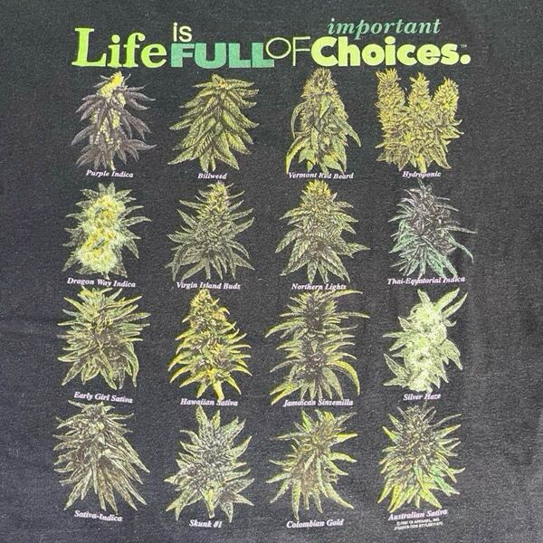 当時物 マリファナ ガンジャ weed Tシャツ 90s 00s 大麻 バッズ 古着 ウィード チーチ&チョン ヴィンテージ USA Cheech & Chong vintage