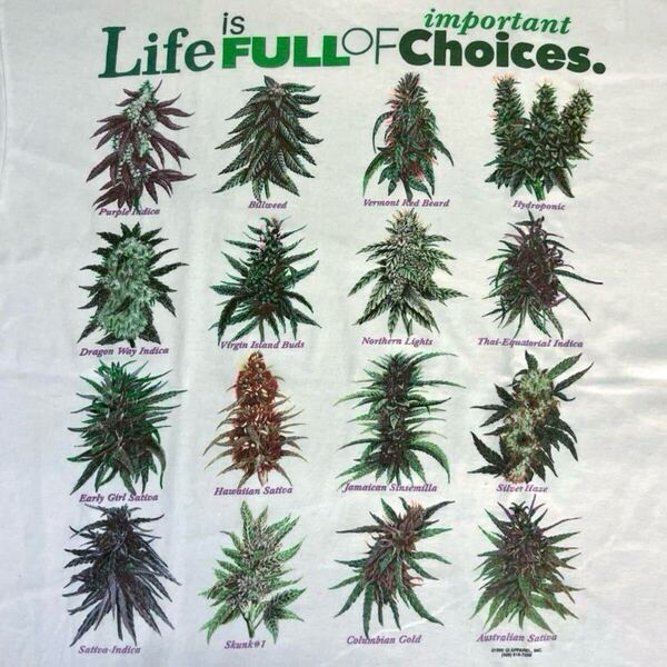 マリファナ 当時物 ガンジャ weed Tシャツ 90s 00s 大麻 バッズ ウィード vintage 古着 チーチ&チョン USA Cheech & Chong ヴィンテージ