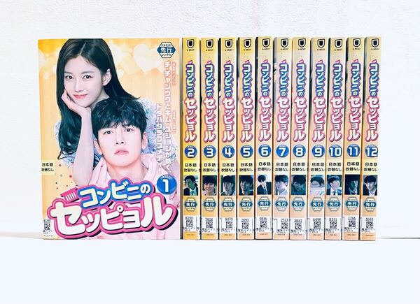 コンビニのセッピョル 【全12巻】 レンタル版DVD 全巻セット 韓国ドラマ チ・チャンウク キム・ユジョン