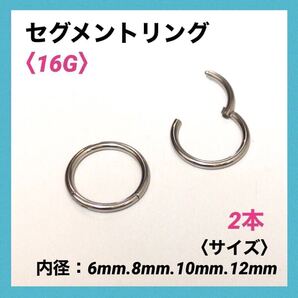 2本 セグメントリング 16G内径6mm フープピアス ボディピアス