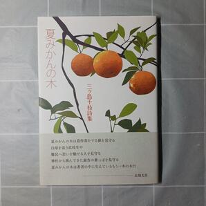 夏みかんの木 三ケ島千枝詩集 三ケ島千枝/著
