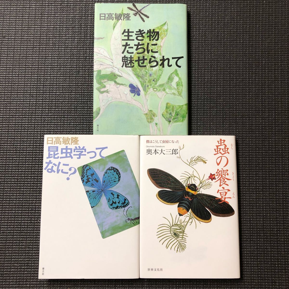 2025年最新】Yahoo!オークション -昆虫学(本、雑誌)の中古品