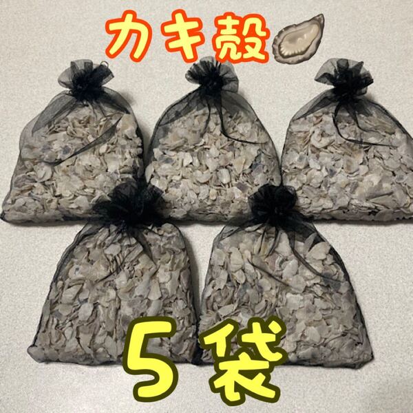 牡蠣殻 5袋 アクアリウム ろ材