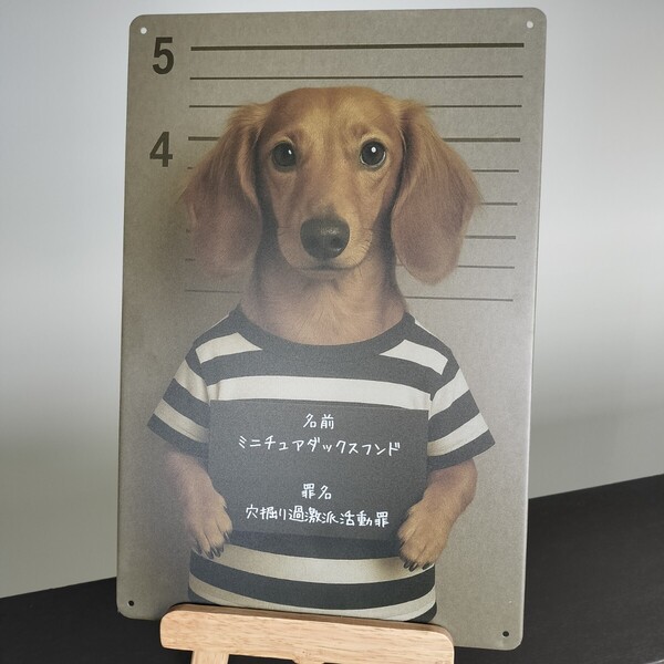 M505 罪犬シリーズ ミニチュアダックスフンドver 壁飾り リビング装飾 玄関インテリア 店舗ディスプレイ 男前インテリア ガレージ装飾