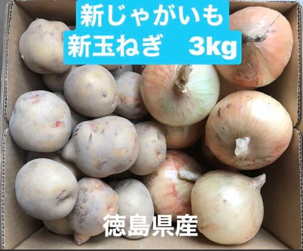 新じゃがいも 新玉ねぎ 3kg 徳島県産