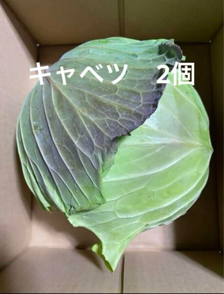 キャベツ2玉 徳島県産 ヤマト80サイズ配送