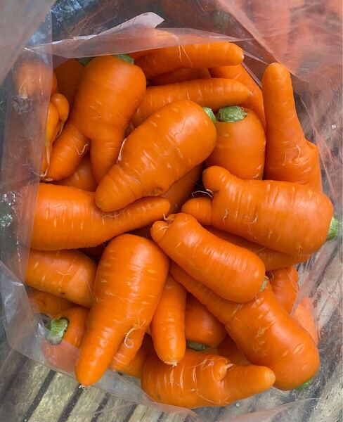 春にんじん 1.3kg箱込 徳島県産 規格外 人参