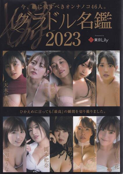 グラドル名鑑2023 桜井木穂 直筆サイン入り 天木じゅん 柳瀬さき 藤乃あおい 原つむぎ 夏来唯 未梨一花 夏佳しお 能美真奈 沢地優佳 爽香
