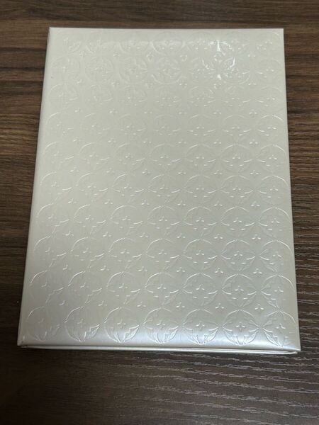 安室奈美恵 ファンクラブ限定版 2001 break the rules DVD 幻のDidU収録 FC限定