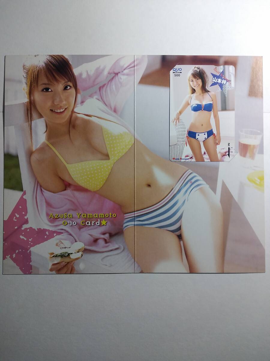 山本梓 / 2011年カレンダー : 山本梓 | HMV&BOOKS online - 11CL075