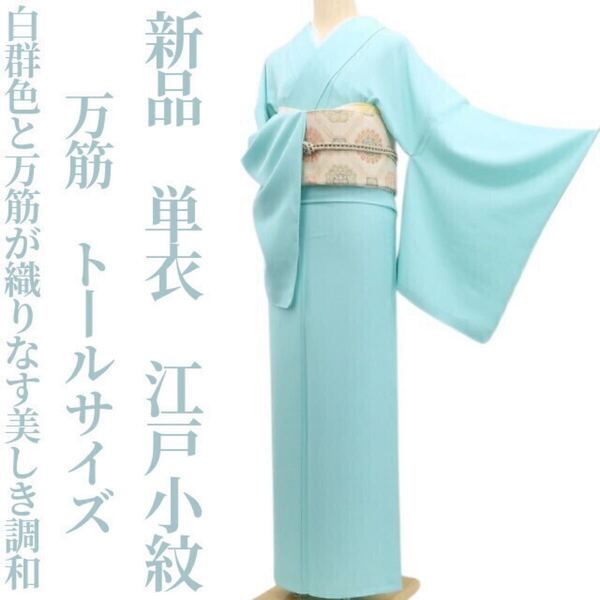 tomihisa 新品 単衣 万筋 着物“白群色と万筋が織りなす美しき調和”正絹 仕付け糸付 トールサイズ 江戸小紋 5698