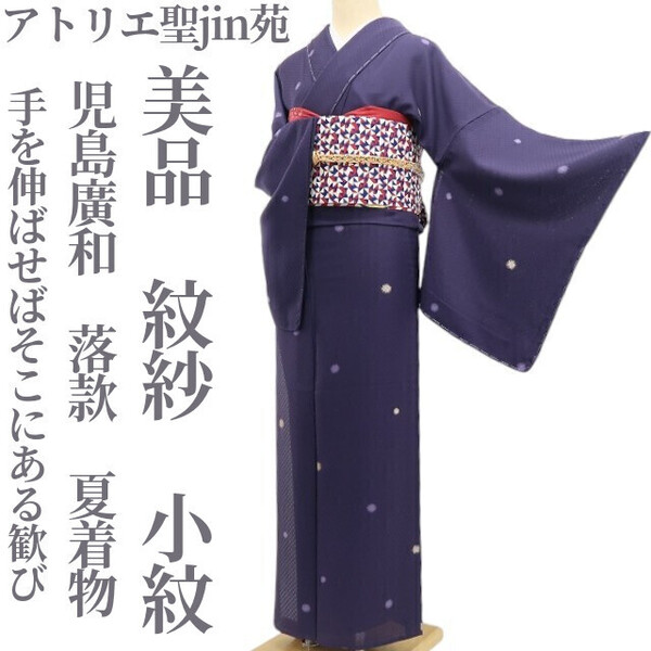 tomihisa 美品 紋紗 アトリエ聖jin苑 児島廣和 落款 夏着物“大人びていざ!手を伸ばせばそこにある歓び”正絹 仕付け糸付 小紋 5789