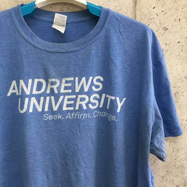 中古 アメリカ古着 GILDAN ギルダン Tシャツ メンズ XLサイズ 2L LL 青 ブルー ビンテージ カジュアルブランド品 送料無料