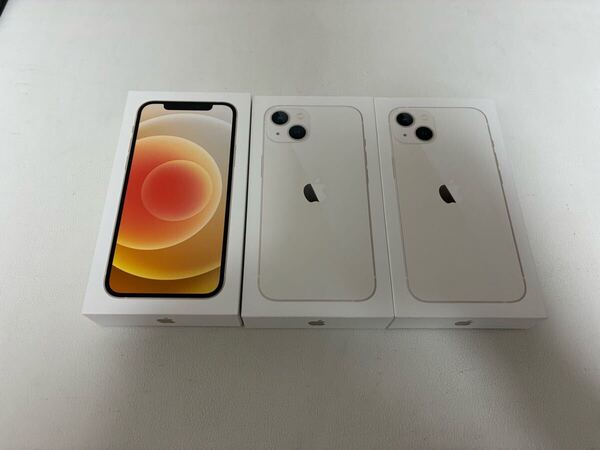 アップル iPhone12/13 箱 Type-C ライトニングケーブル 純正 ピン
