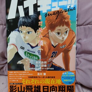 ハイキュー!!magazine VOLLEYBALL IS FUN!! 2024FEBRUARY 付録付き美品
