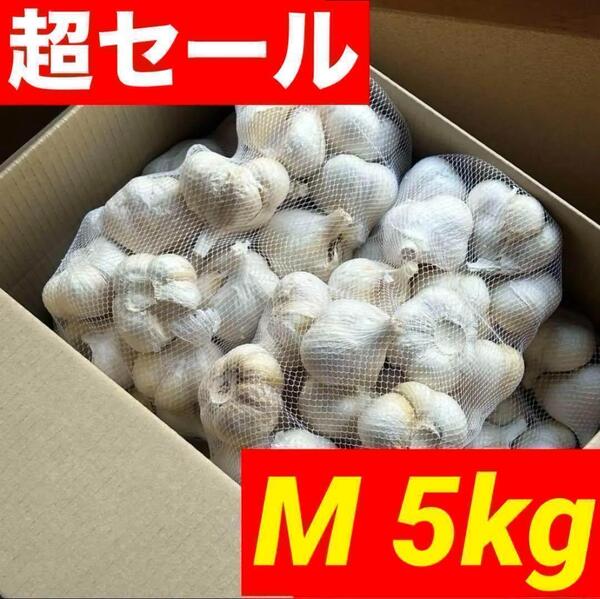 【超セール】青森県産にんにく 5kg M 福地ホワイト 加工 お買い得