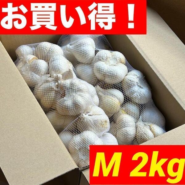 【超セール】青森県産 にんにく 2kg M 福地ホワイト 黒にんにく加工