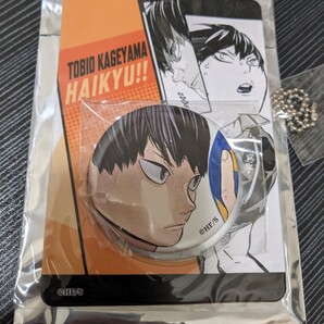 ハイキュー!! 烏野高校 影山飛雄 石川界人 缶バッジ&特製ホルダーコレクション 第1弾 週刊少年ジャンプ 集英社 古舘春一