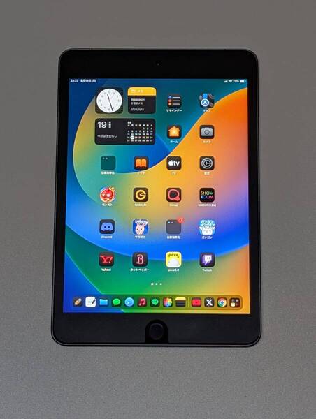 ipad mini5 64gb セルラーモデル