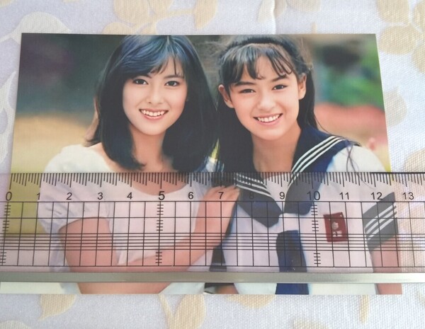 中山美穂 後藤久美子 L判写真