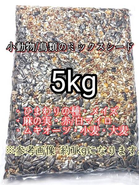 ミックスシード 5kg ペット用 ハムスター リス 小動物 インコ 文鳥 小鳥 鳥類