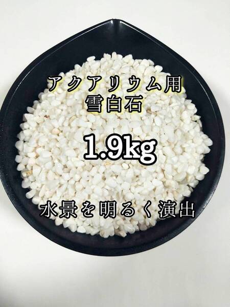 高品質 天然石 アクアリウム用 雪白石 1.9kg 約5-15mm メダカ 金魚 グッピー 熱帯魚 レイアウト 底床ガーデニング