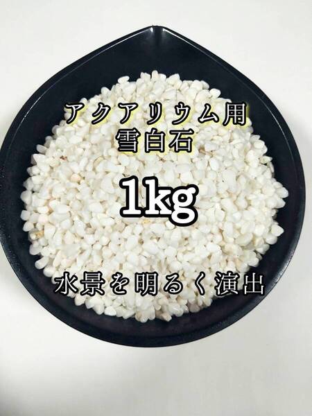 高品質 天然石 アクアリウム用 雪白石 1kg 約5-15mm メダカ 金魚 グッピー 熱帯魚 レイアウト 底床ガーデニング