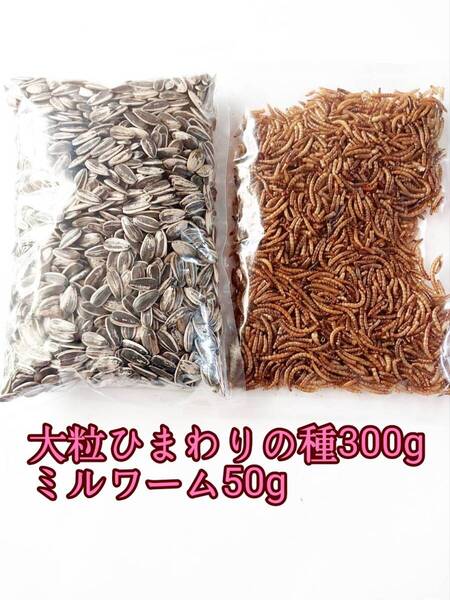 大粒ひまわりの種300g ミルワーム50g 小動物 ハムスター ハリネズミ