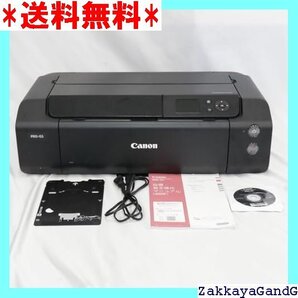美品★★★ キヤノン Canon PIXUS PRO カラー イン 1 Wi- 有線LAN搭載 A3ノビ対応 顔料10色 145