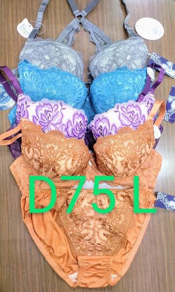 ブラジャー&ショーツ 4組セット D75 Lサイズ