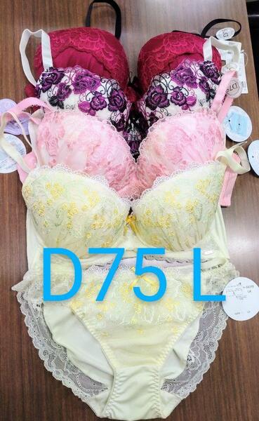 ブラジャー&ショーツ 4組セット D75 Lサイズ