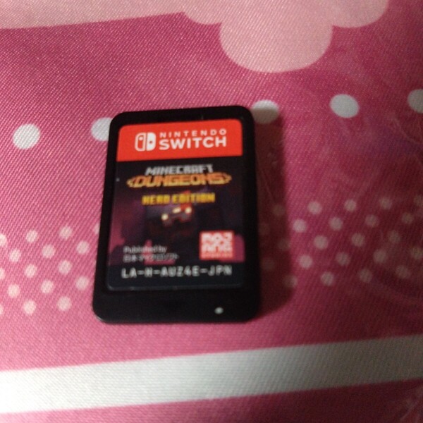 ソフトのみ switch マインクラフト ダンジョンズ